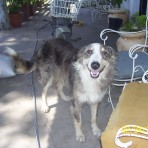 Luca